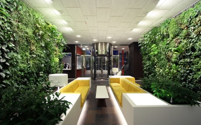 Những nguyên tắc khi thiết kế nội thất văn phòng