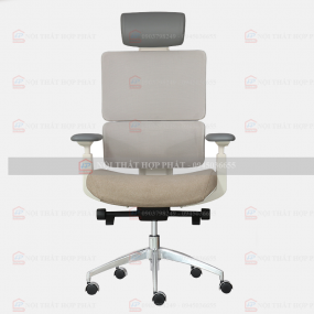Ghế Công Thái Học  ASTON-01