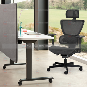 Ghế Công Thái Học  ERGOLUX R-01