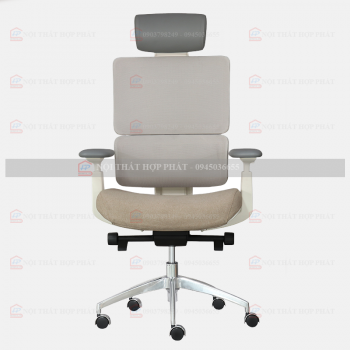 Ghế Công Thái Học  ASTON-01