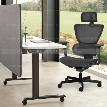 Ghế Công Thái Học  ERGOLUX R-01