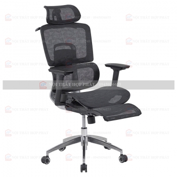 Ghế Công Thái Học GLE13
