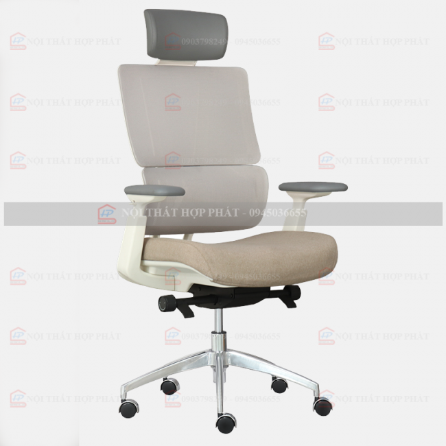 Ghế Công Thái Học  ASTON-01