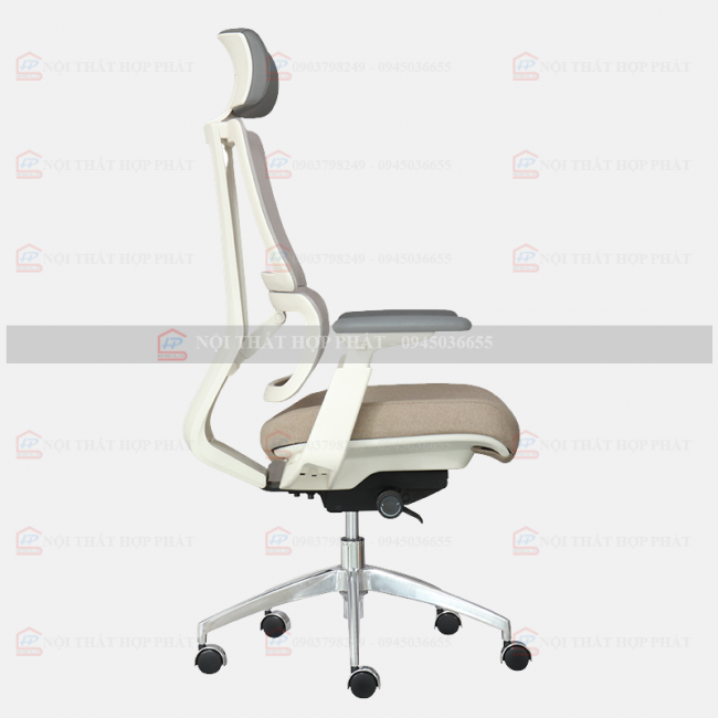 Ghế Công Thái Học  ASTON-01