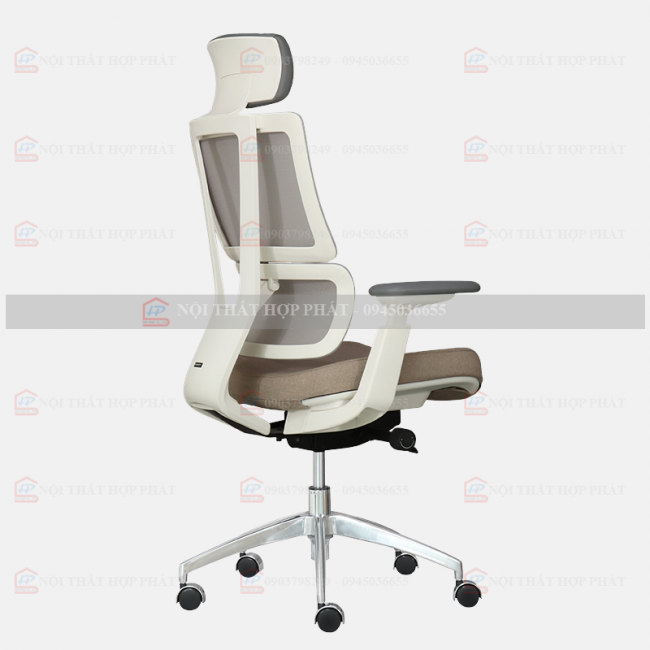 Ghế Công Thái Học  ASTON-01