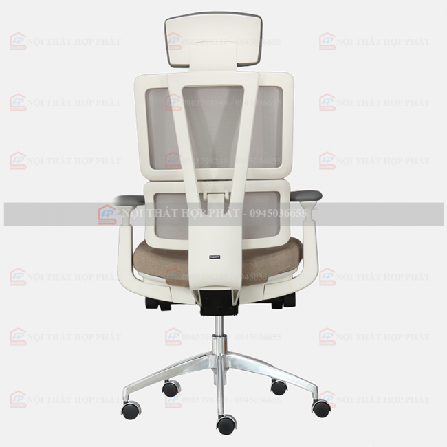 Ghế Công Thái Học  ASTON-01