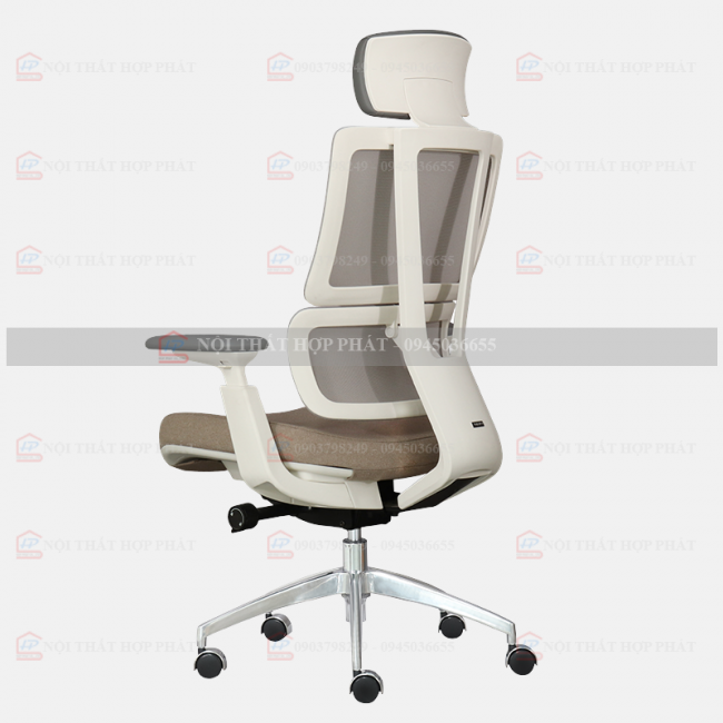 Ghế Công Thái Học  ASTON-01