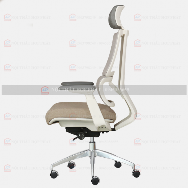 Ghế Công Thái Học  ASTON-01