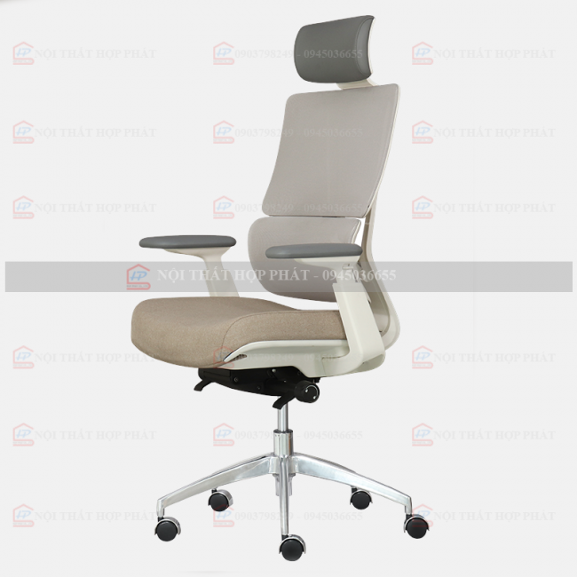 Ghế Công Thái Học  ASTON-01