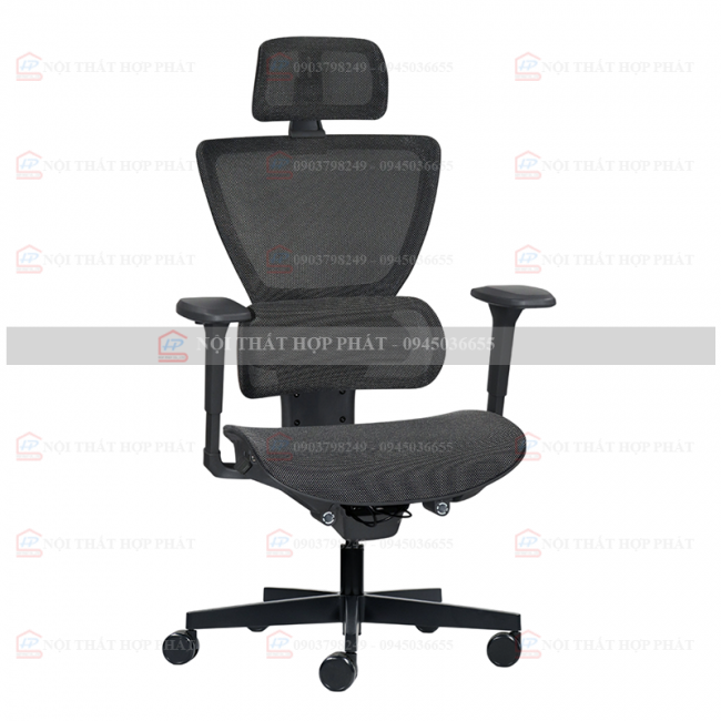 Ghế Công Thái Học  ERGOLUX R-01