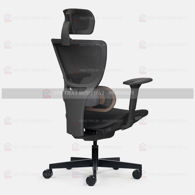 Ghế Công Thái Học  ERGOLUX R-01