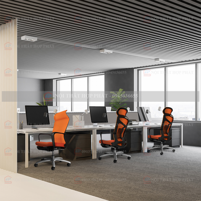 Ghế Công Thái Học  M1103 F