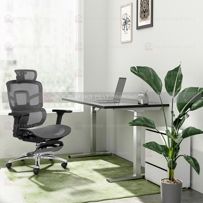Ghế Công Thái Học  M1105 F