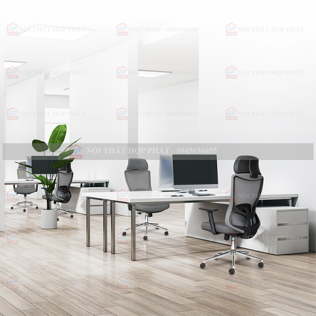 Ghế Công Thái Học  M1106 F-D 01
