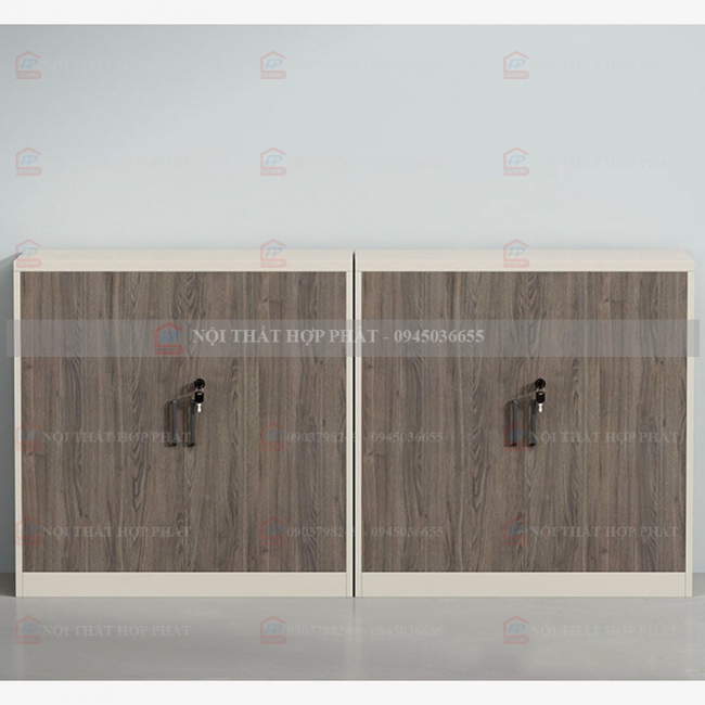 Tủ Hồ Sơ Tài Liệu Cao Gỗ THSCG030