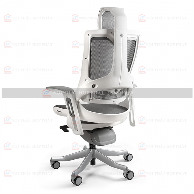 Ghế Công Thái Học  WONDER II 