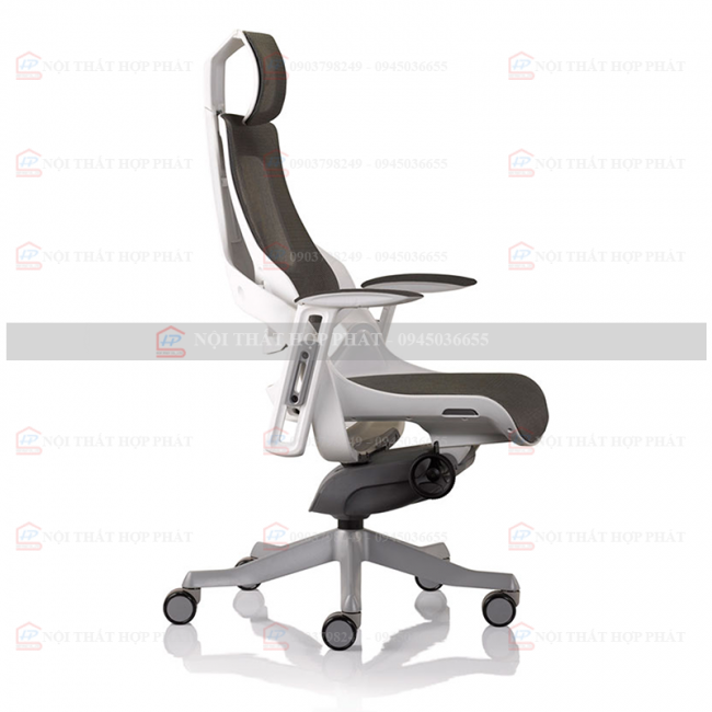 Ghế Công Thái Học  WONDER II 